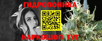 МДПВ Ипатово