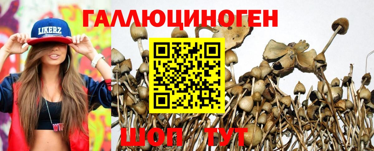 Псилоцибиновые грибы MAGIC MUSHROOMS  Вход с VPN  Псилоцибиновые грибы мицелий  Лосино-Петровский 