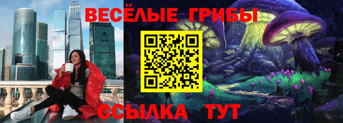 Галлюциногенные грибы Cubensis Лосино-Петровский
